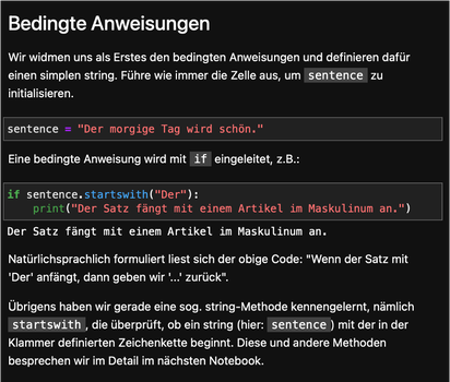 Screenshot von Anleitung in der Programmiercodes erklärt werden