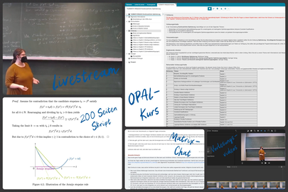 Die Collage besteht aus 5 Bildern. Über jedes Bild wurde Handschriftlich der Inhalt geschrieben. Das Foto oben rechts zeigt einen Ausschnitt von einem Livestream, wobei eine Person vor einer beschriebenen Tafel steht. Im Bild darunter ist ein ein Text mit Formeln und einem Graphen zusehen. Darüber steht "200 Seiten Skript" geschrieben. Das Bild, welches die obere rechte Ecke einnimmt, zeigt einen Screenshot von einem Opal Kurs. Darunter ist links ein Screenshot von einem Matrix-Chat und rechts von einem Video-Bearbeitungsprogramm. 