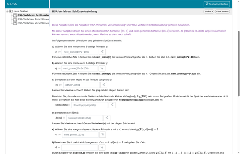 Screenshot: Online-Aufgabe zum Thema RSA mit Lückentextfeldern