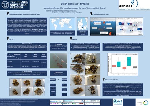 The poster presents the research on Life in plastic isn't fantastic. 
