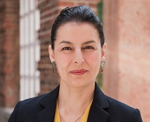 Das Bild zeigt die wissenschaftliche Mitarbeiterin Farahnaz Sadidi.