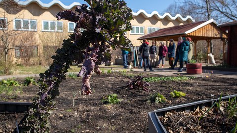 Im Vordergrund eine Pflanze zu sehen, im Hintergrund eine Gruppe von Frauen in einem Schulgarten