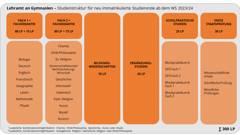 Lehramt an Gymnasien - Studienstruktur für neu immatrikulierte Studierende ab dem WS 2023/24