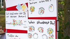 Eine Pinnwandtafel mit verschiedenen Fragen zum Lehramtsstudium und die Antworten dazu.