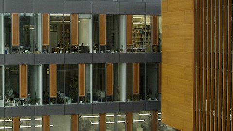 Foto: Moderne Architektur mit Innenbegrünung