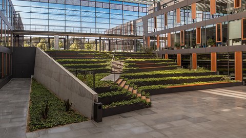 Foto: Moderne Architektur mit Innenbegrünung
