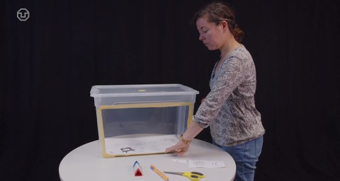 Eine Frau steht an einem Tisch und verwendet Materialien zur Erstellung eines Eklrärfilms: Stifte, Legekärtchen und eine Plastikbox