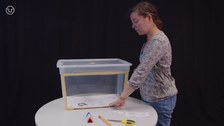 Eine Frau steht an einem Tisch und verwendet Materialien zur Erstellung eines Eklrärfilms: Stifte, Legekärtchen und eine Plastikbox