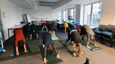 Im Bild sieht man Teilnehmende des BQL-Programms bei einer Yoga-Pause. Alle begeben sich gerade in einem Seminarraum auf ihrer Matte in die Haltung des "herabschauenden Hundes", sodass man frontal auf die Gruppe sieht und die Gesichter nicht sehen kann, da alle herunterschauen.